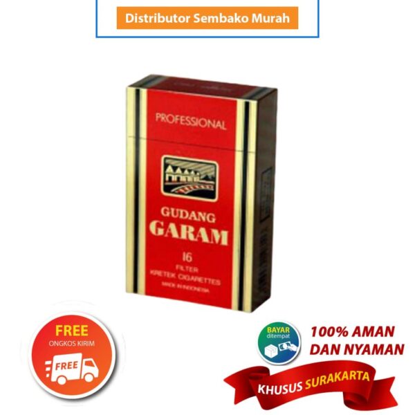 Gudang Garam Profesional 16